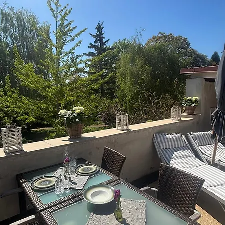 Für 8 Pers Mit 4 Apartments, 2xsauna, Dampfbad, Dachterrasse, Weinkeller, 1a-lage * Freinsheim