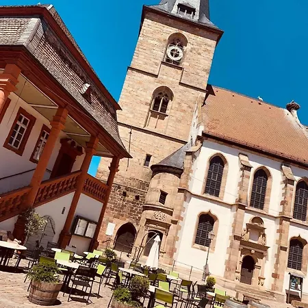 Für 8 Pers Mit 4 Apartments, 2xsauna, Dampfbad, Dachterrasse, Weinkeller, 1a-lage * Freinsheim