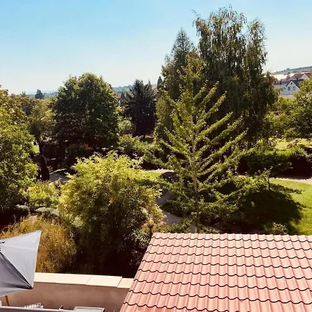 Für 8 Pers Mit 4 Apartments, 2xsauna, Dampfbad, Dachterrasse, Weinkeller, 1a-lage * Freinsheim