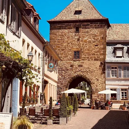 Für 8 Pers Mit 4 Apartments, 2xsauna, Dampfbad, Dachterrasse, Weinkeller, 1a-lage Freinsheim